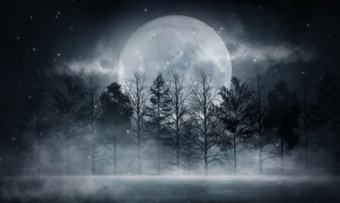 3D Фотообои «Moon Night AG-MN-005»